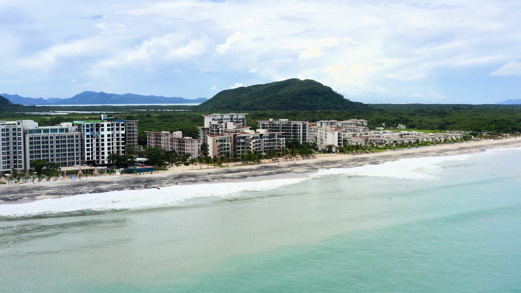 Pacific Beaches Private Real Estate Beach Tour Full Day  (3-4 guests)